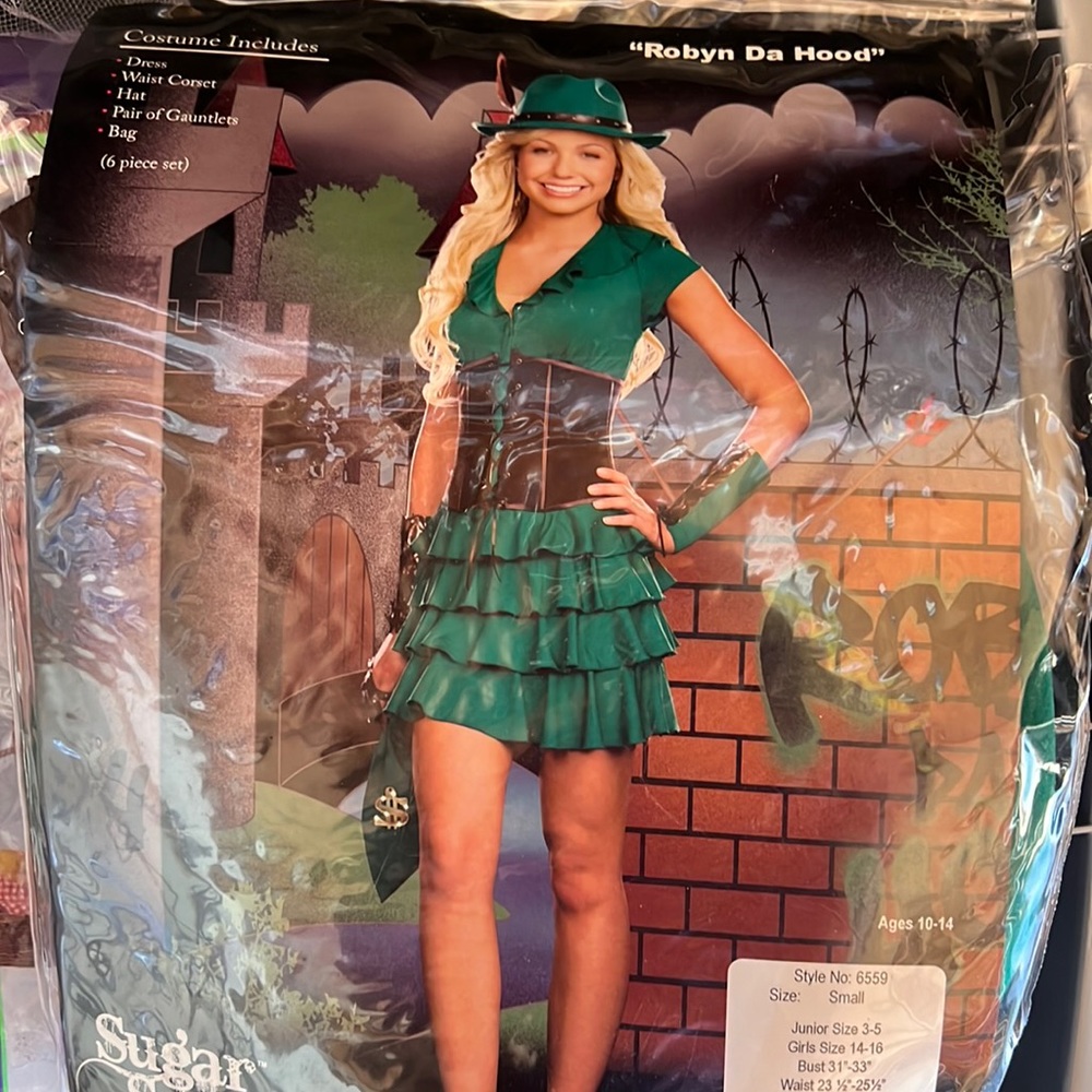 Robyn Da Hood Costume